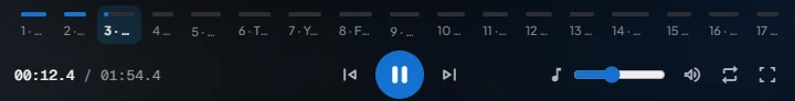 The preview controls, with the music volume slider